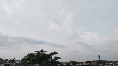 Weather update in Madhya Pradesh