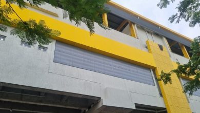 Indore Metro Train on Elevated Track, Phase-1 Corridor