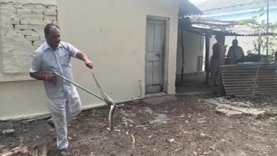 Snake expert of Jabalpur rdn 01