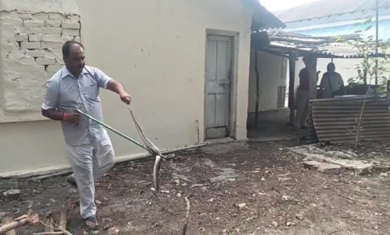 Snake expert of Jabalpur rdn 01