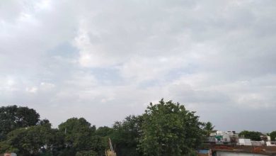 MP Weather Today