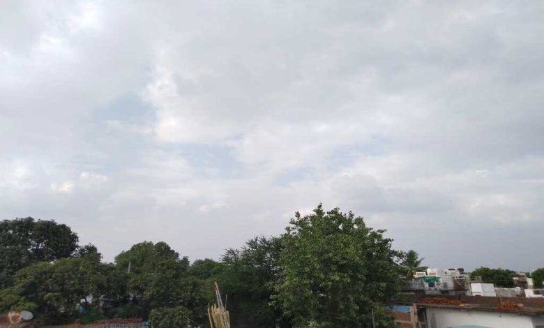 MP Weather Today