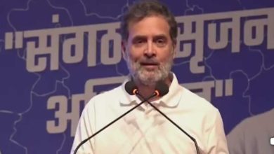 लगाम लगाने का प्रयास ही कांग्रेस का "संगठन सृजन" प्लान है। राहुल गांधी के मापदंड इस प्लान के तहत बहुत कड़े हैं।