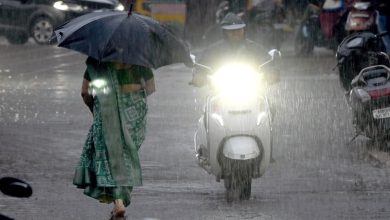 mp weather update