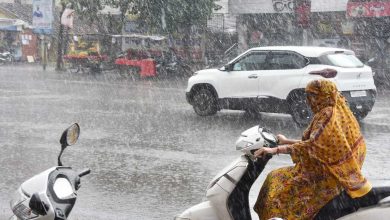 मध्यप्रदेश बारिश अलर्ट 24 जून